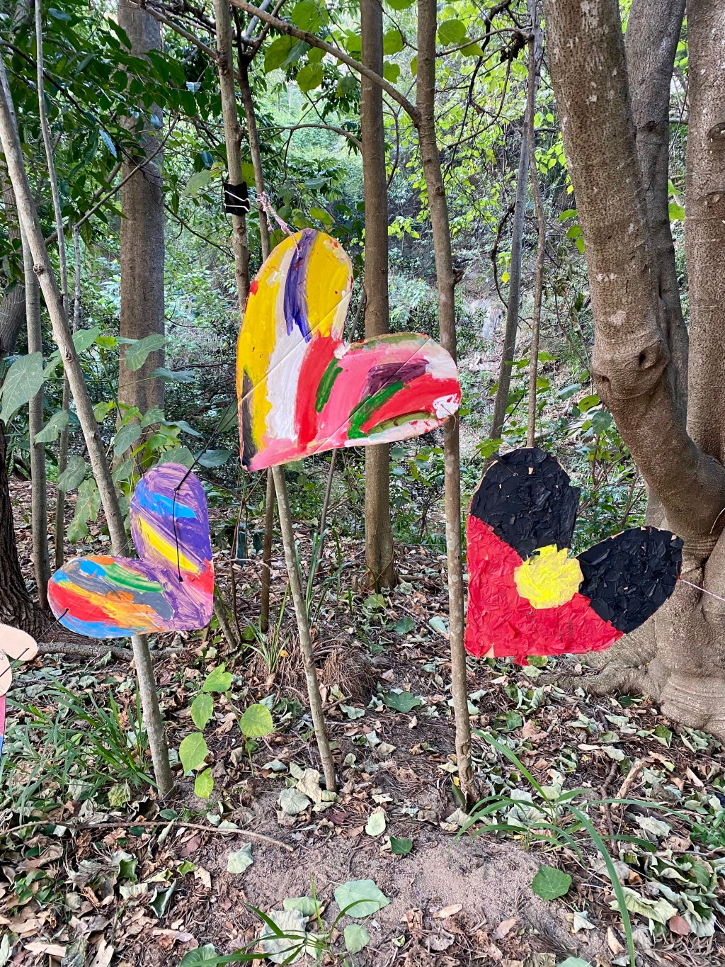 1st of June – Winter in&nbsp;Qld