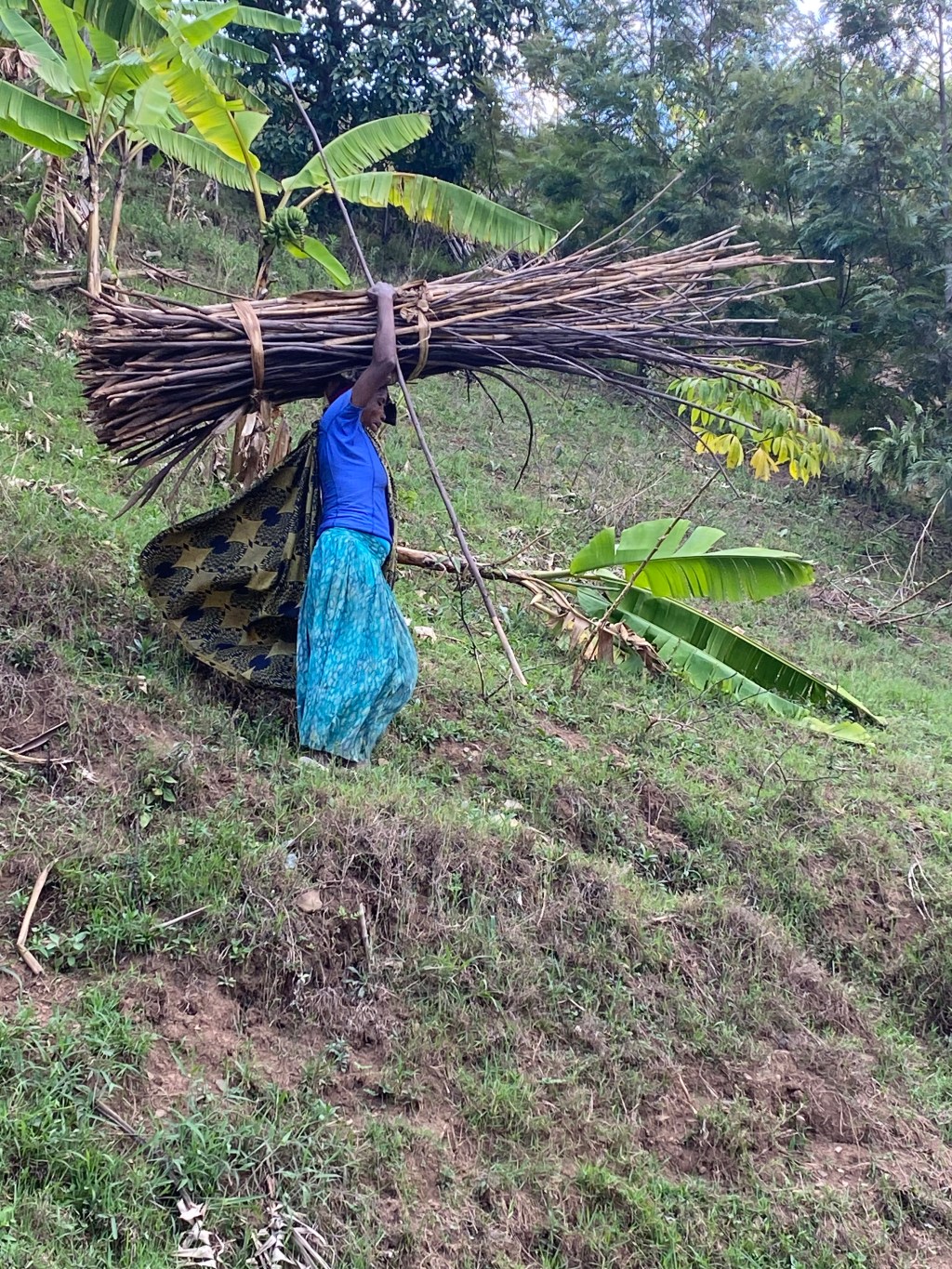 Bikes,loads and shoes.