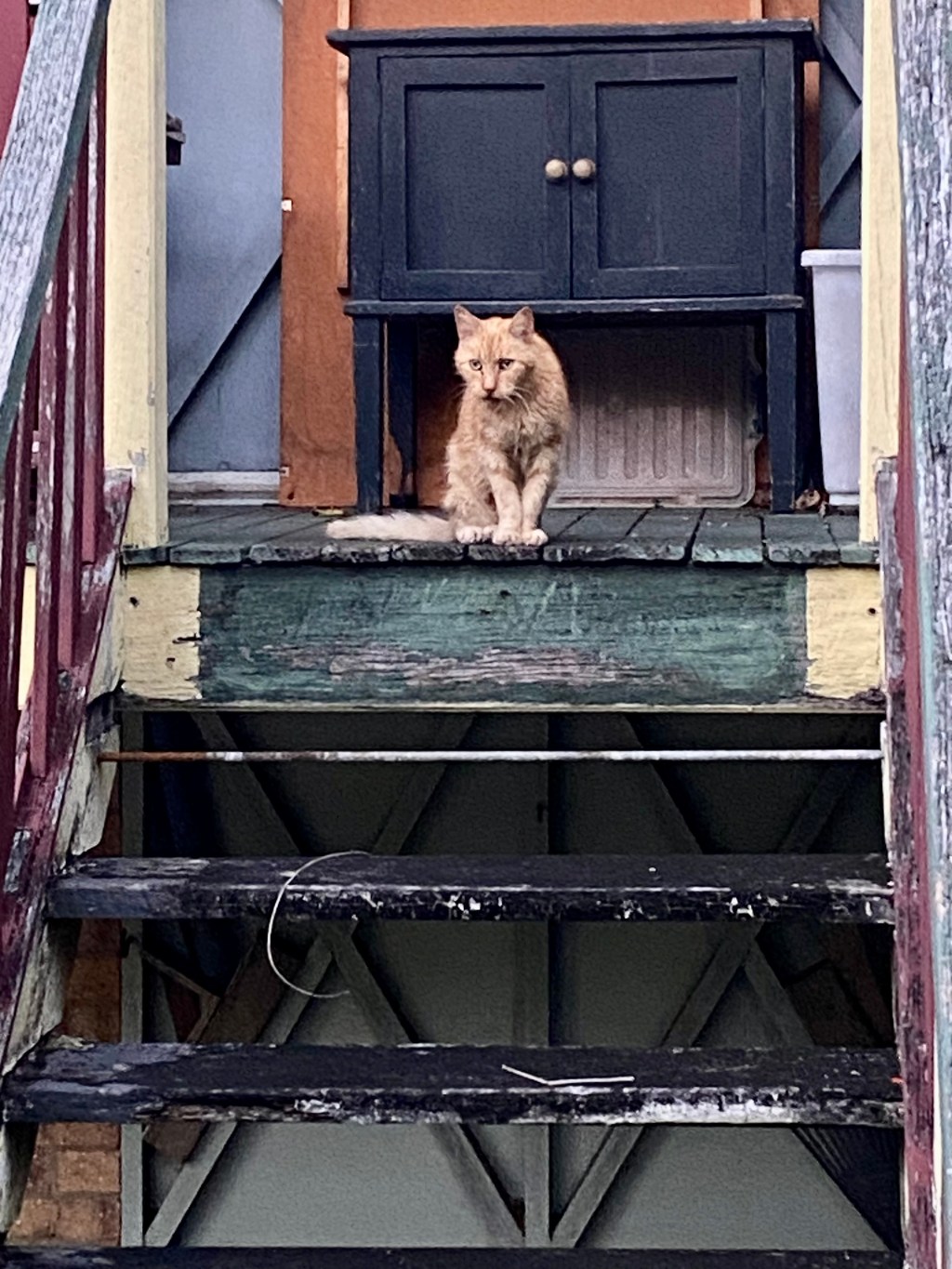 The house next&nbsp;door