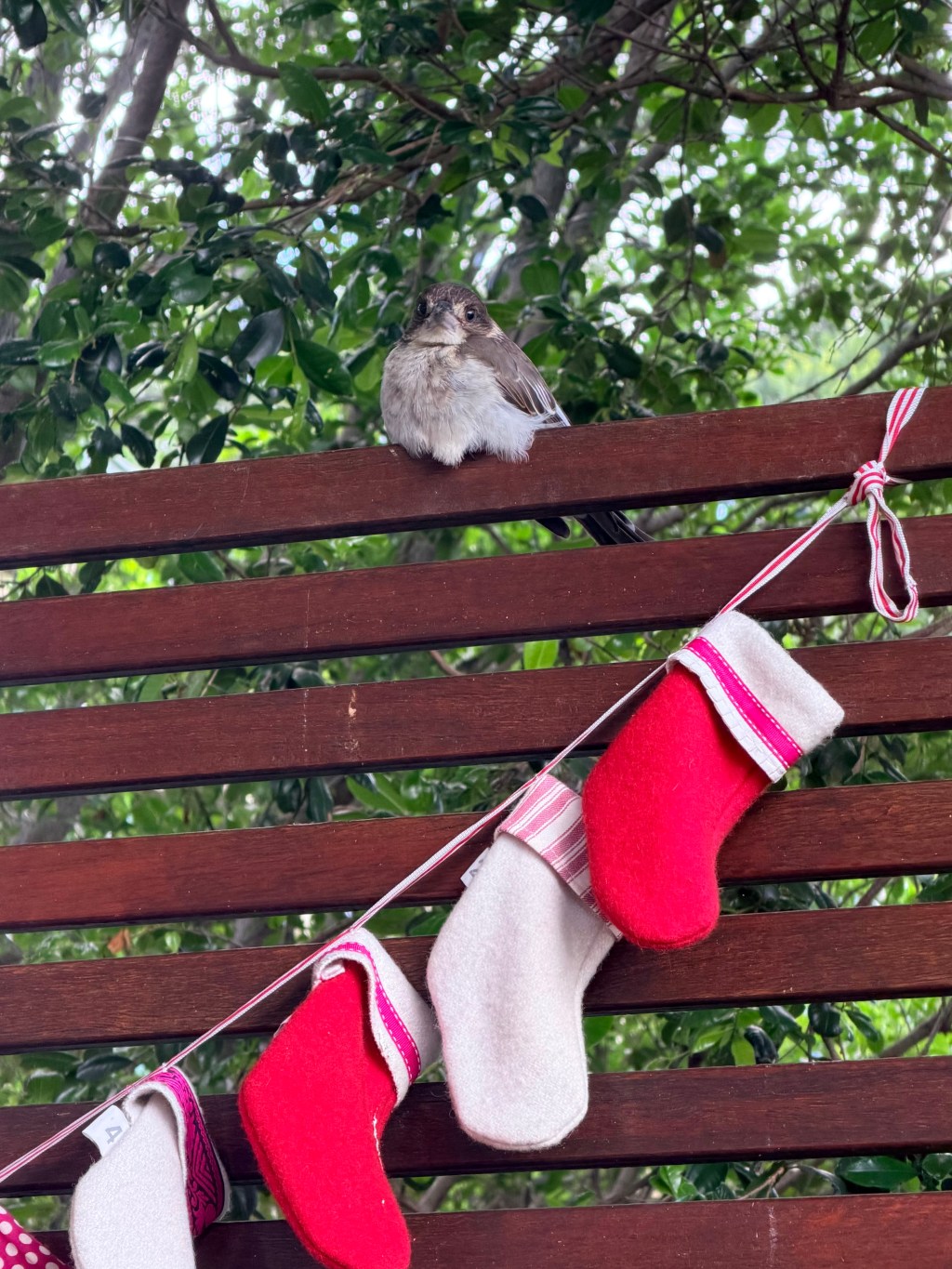 2026- Could be,should&nbsp;be…