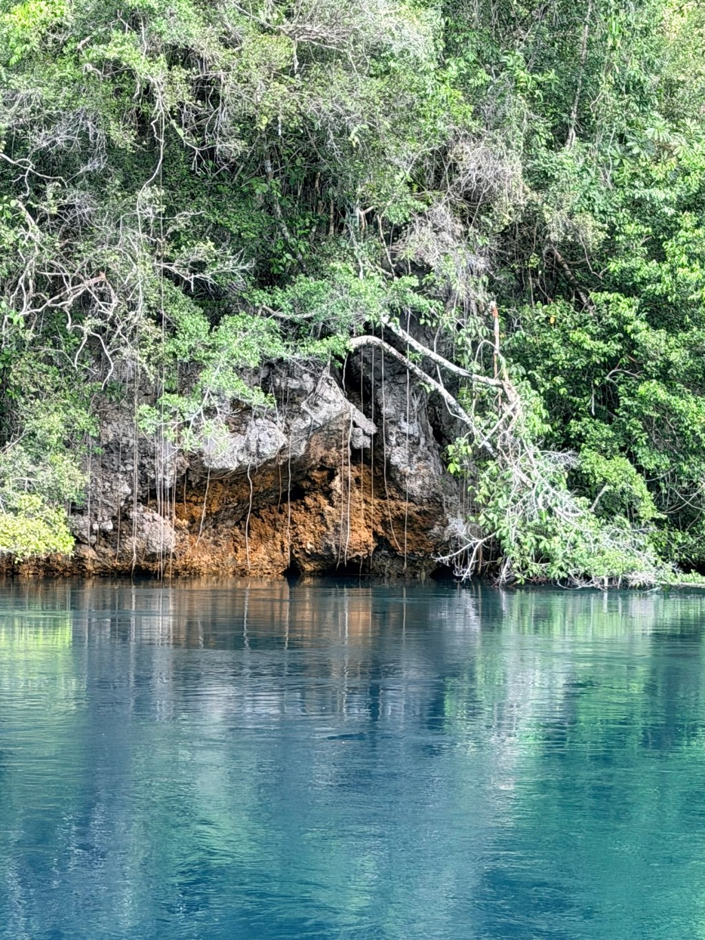 Alfred,The Passage, and Archer&nbsp;Fish