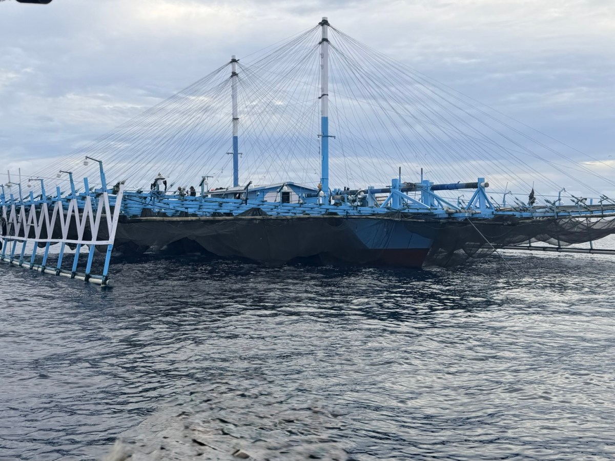 An invitation to Whale Sharks&nbsp;breakfast