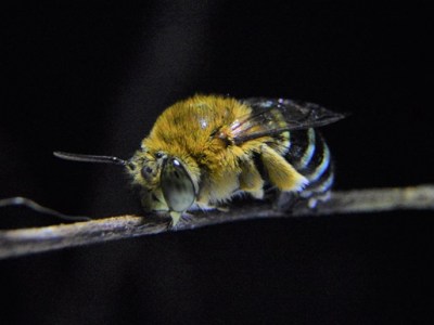 The house of a thousand&nbsp;species.