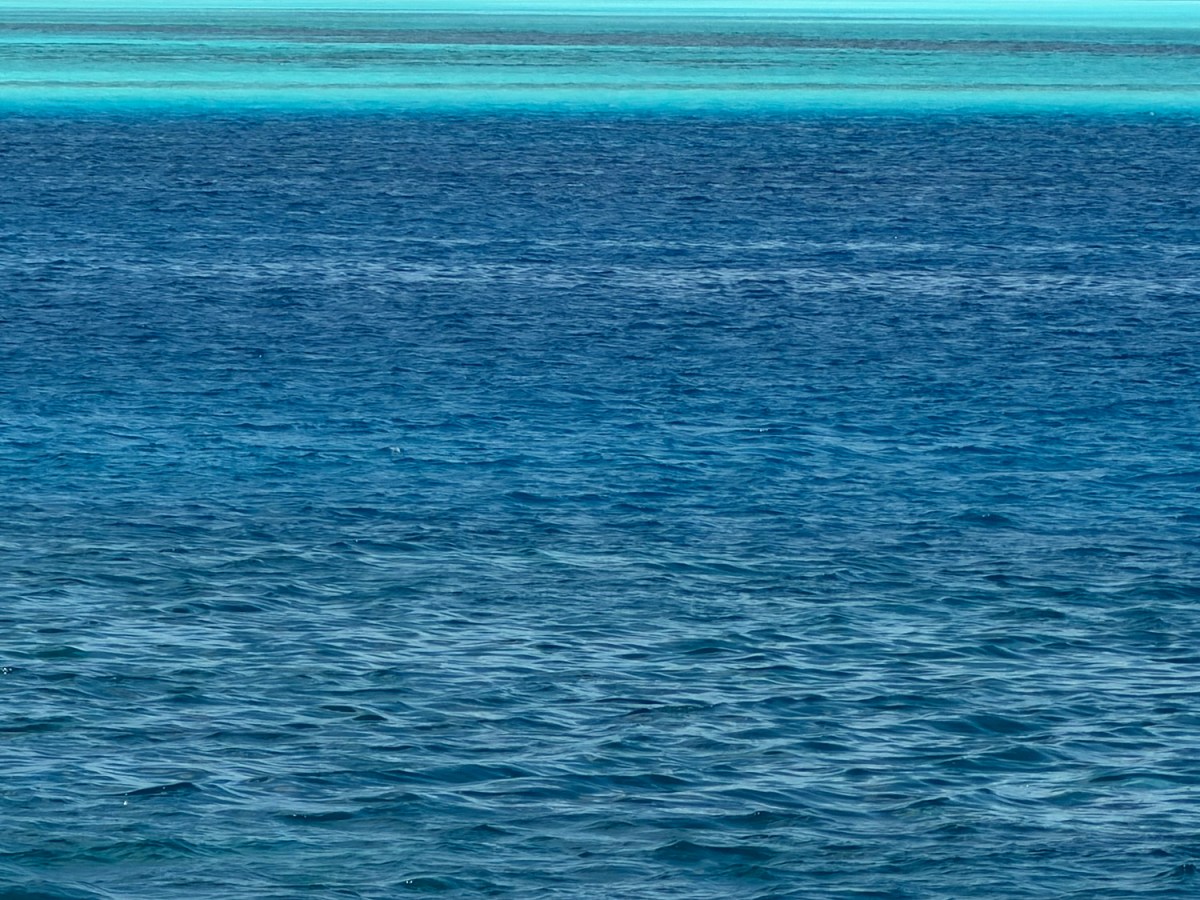 Reef Hotels