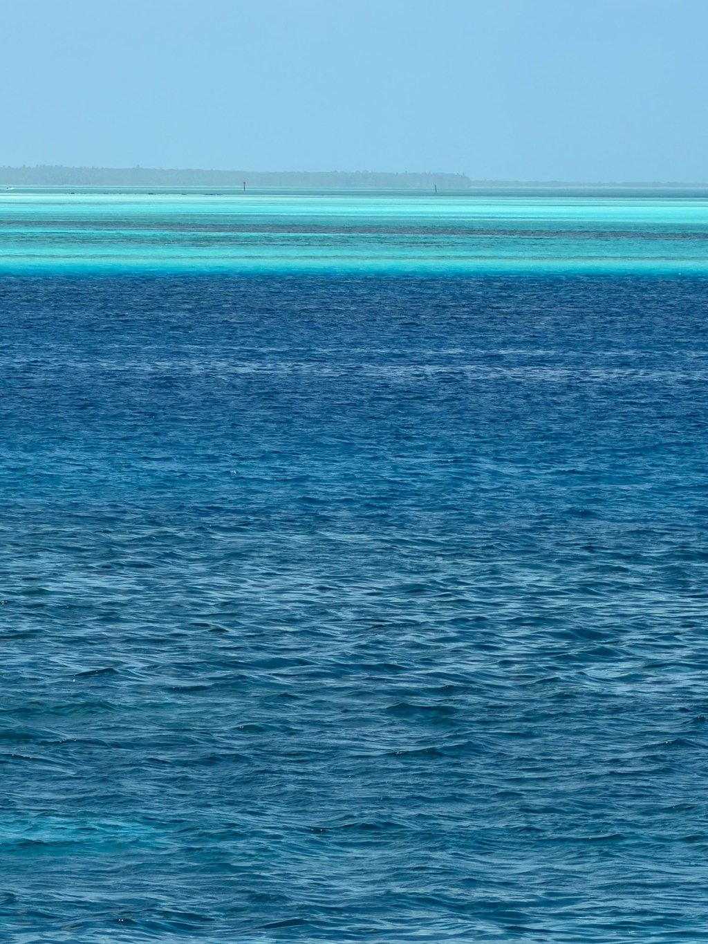 Reef Hotels