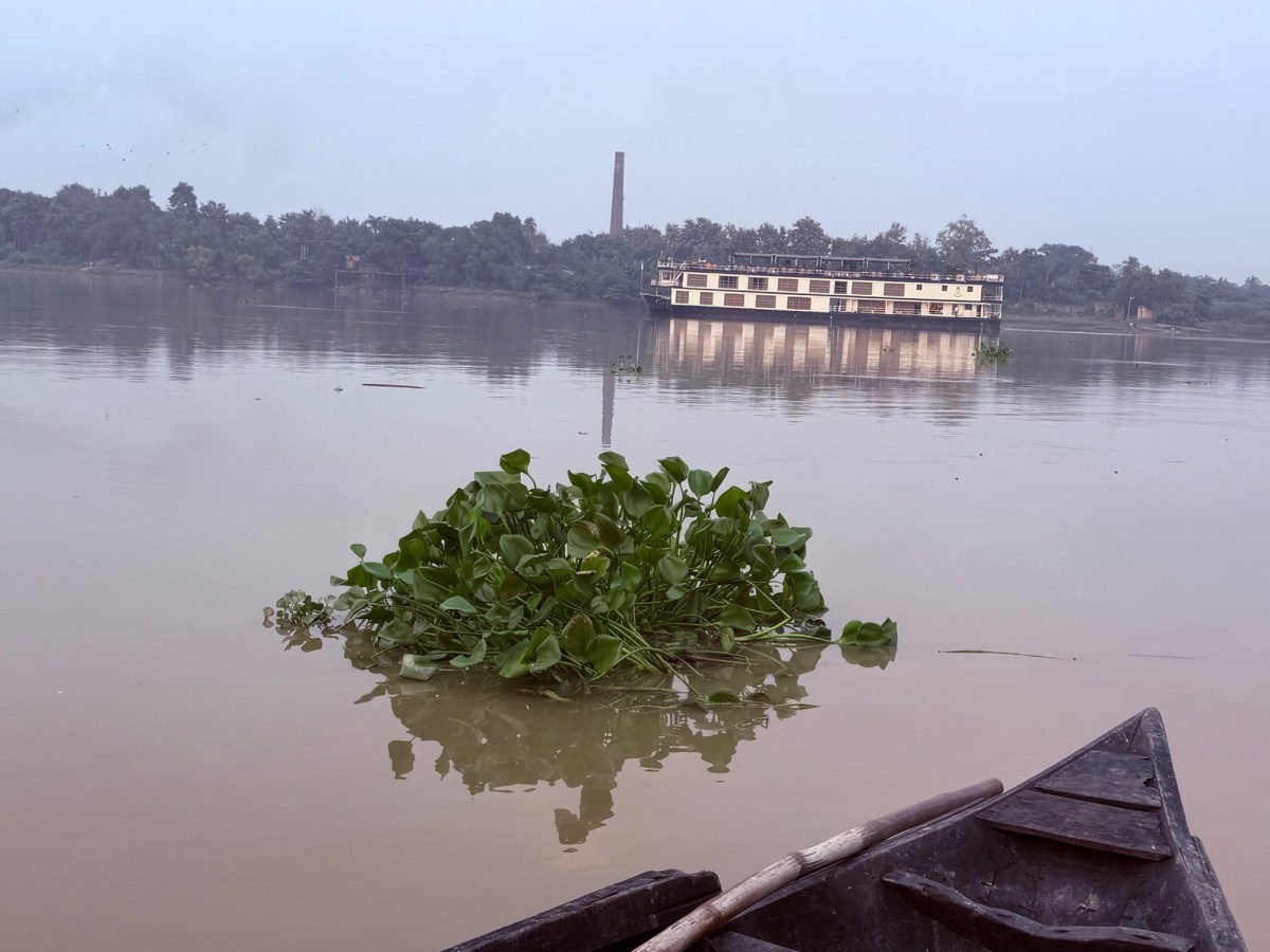 The Terror of&nbsp;Bengal